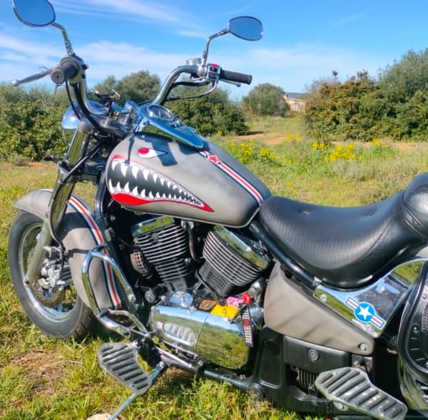 Verleih Von Custom Motorradern In Playa De Palma – Mallorca – MAVERICK 800 Cc